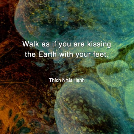 Walk as if you are kissing - Thích Nhat Hạnh #MotivationalQuote #Inspirational Quote #ThichNhatHanh #LifeQuotes #wordstoliveby #PositiveQuotes #mindfulness #meditation
