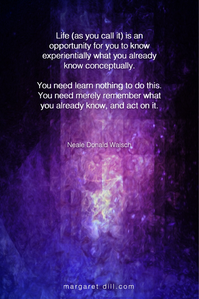 Life- Neale Donald Walsch #NealeDonaldWalsch #Wisdom  #MotivationalQuote  #Inspirational Quote   #LifeQuotes  #LeadershipQuotes #PositiveQuotes  #SuccessQuotes 